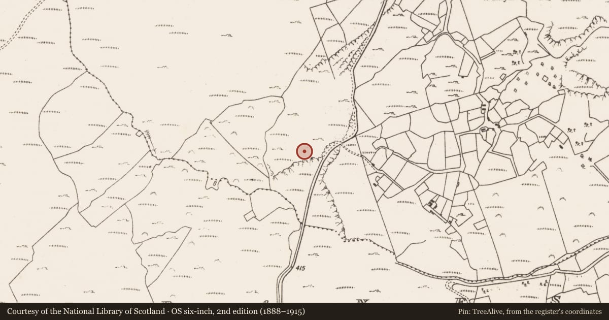 Ordnance Survey six-inch map, 2nd edition (1888–1915) covering the location of Standing stone, Gour, County Cork, with a pin at the register's coordinates