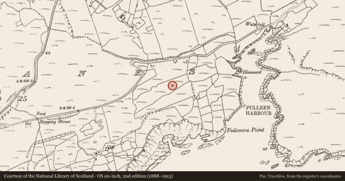 Ordnance Survey six-inch map, 2nd edition (1888–1915) covering the location of Burial ground, Garranes, County Cork, with a pin at the register's coordinates