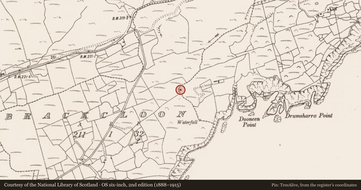 Ordnance Survey six-inch map, 2nd edition (1888–1915) covering the location of Fulacht fia, Garranes, County Cork, with a pin at the register's coordinates