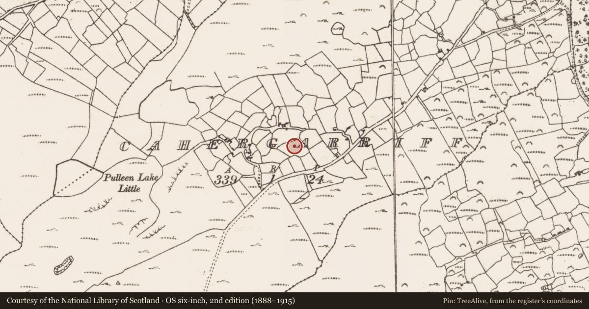Ordnance Survey six-inch map, 2nd edition (1888–1915) covering the location of Standing stone (present location), Cahergarriff, County Cork, with a pin at the register's coordinates