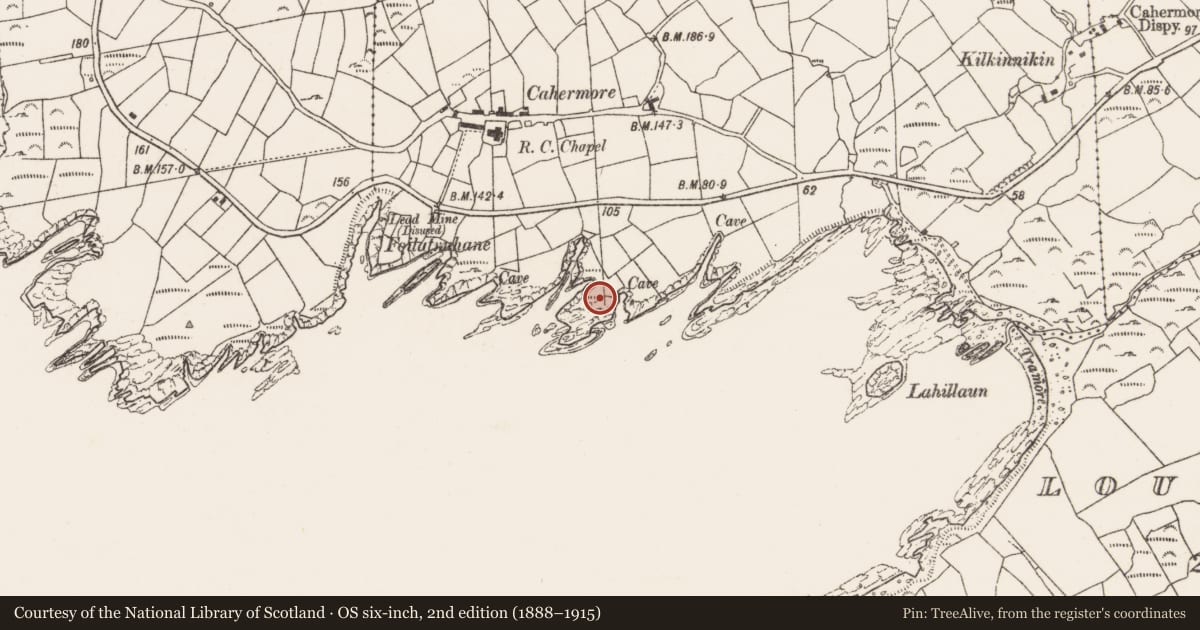 Ordnance Survey six-inch map, 2nd edition (1888–1915) covering the location of Promontory fort - coastal, Kilkinnikin West, County Cork, with a pin at the register's coordinates
