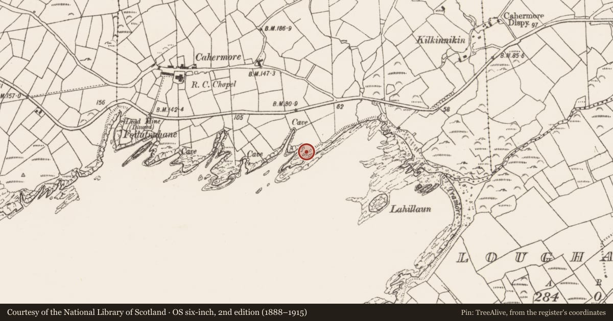 Ordnance Survey six-inch map, 2nd edition (1888–1915) covering the location of Promontory fort - coastal, Kilkinnikin West, County Cork, with a pin at the register's coordinates