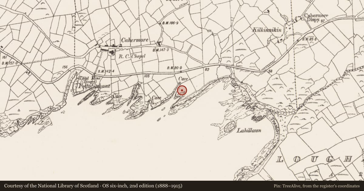 Ordnance Survey six-inch map, 2nd edition (1888–1915) covering the location of Promontory fort - coastal, Kilkinnikin West, County Cork, with a pin at the register's coordinates