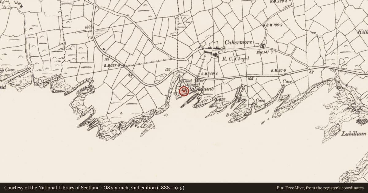 Ordnance Survey six-inch map, 2nd edition (1888–1915) covering the location of Promontory fort - coastal, Kilkinnikin West, County Cork, with a pin at the register's coordinates