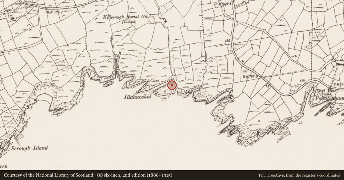 Ordnance Survey six-inch map, 2nd edition (1888–1915) covering the location of Promontory fort - coastal, Killough West, County Cork, with a pin at the register's coordinates