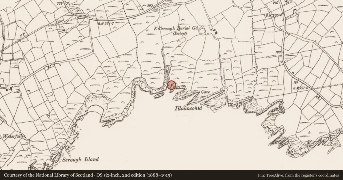 Ordnance Survey six-inch map, 2nd edition (1888–1915) covering the location of Promontory fort - coastal, Killough West, County Cork, with a pin at the register's coordinates