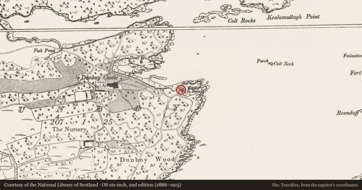Ordnance Survey six-inch map, 2nd edition (1888–1915) covering the location of Bastioned fort, Dunboy, County Cork, with a pin at the register's coordinates
