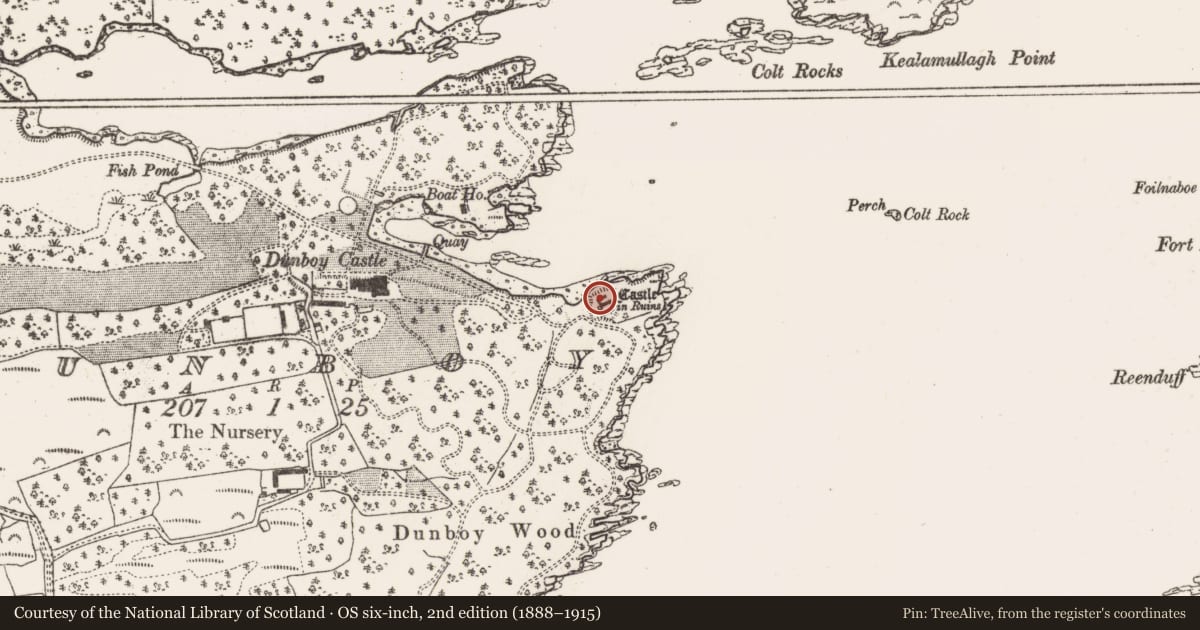 Ordnance Survey six-inch map, 2nd edition (1888–1915) covering the location of Castle - tower house, Dunboy, County Cork, with a pin at the register's coordinates