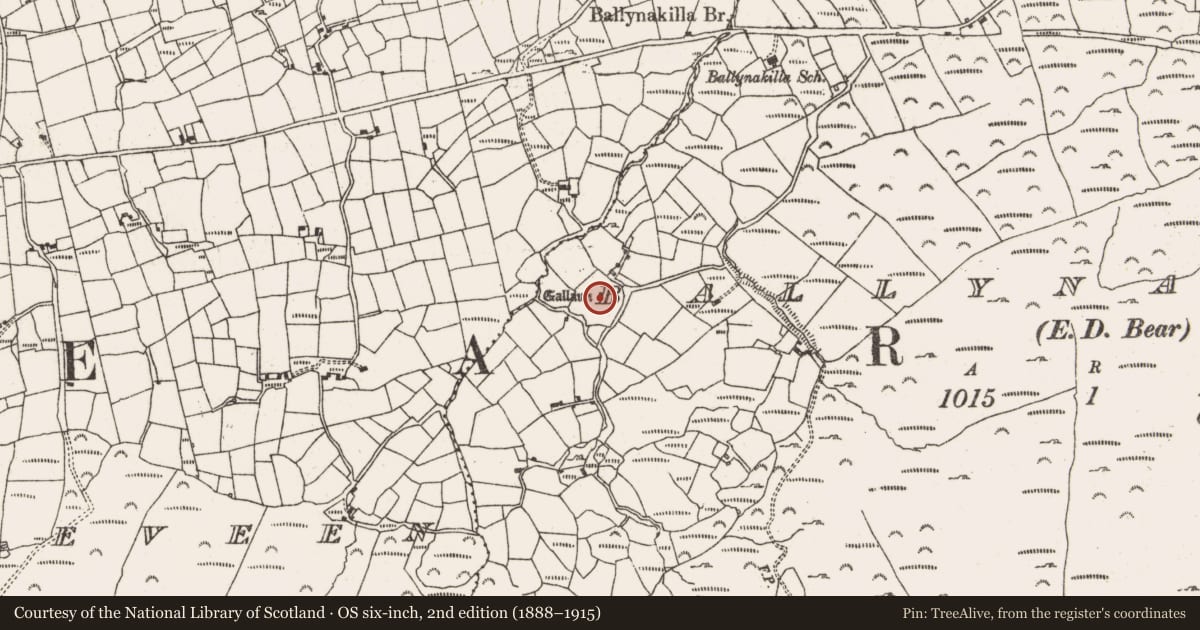 Ordnance Survey six-inch map, 2nd edition (1888–1915) covering the location of Standing stone, Ballynakilla (Bear By., Killaconenagh Par.), County Cork, with a pin at the register's coordinates