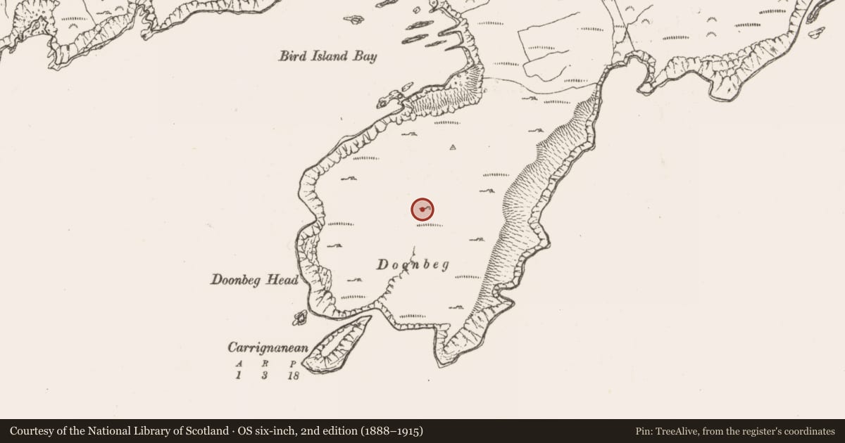 Ordnance Survey six-inch map, 2nd edition (1888–1915) covering the location of Promontory fort - coastal, Greenane, County Cork, with a pin at the register's coordinates