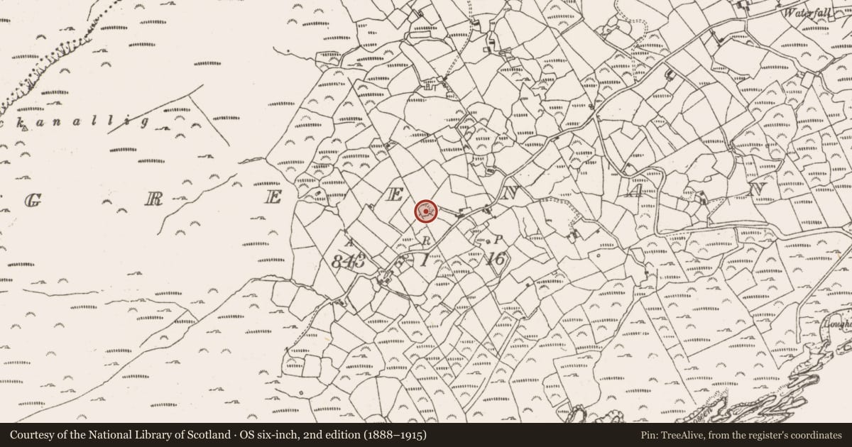 Ordnance Survey six-inch map, 2nd edition (1888–1915) covering the location of Ringfort - rath, Greenane, County Cork, with a pin at the register's coordinates