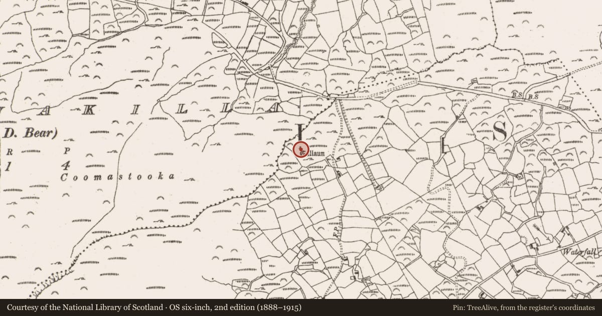 Ordnance Survey six-inch map, 2nd edition (1888–1915) covering the location of Standing stone, Greenane, County Cork, with a pin at the register's coordinates