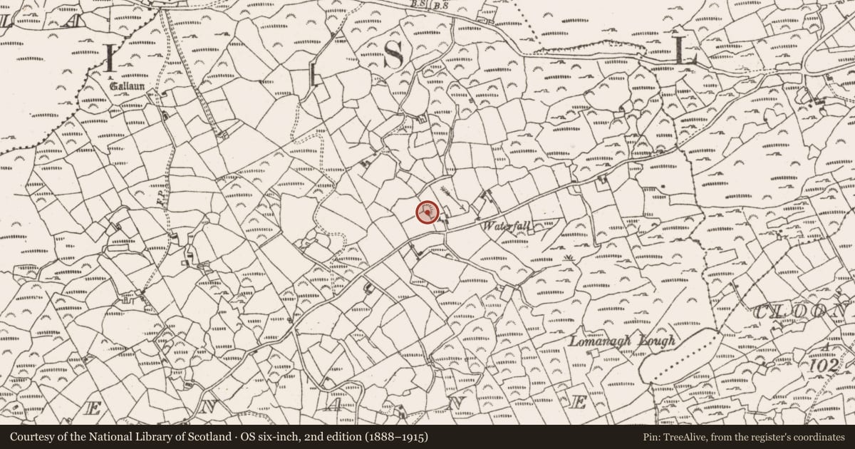 Ordnance Survey six-inch map, 2nd edition (1888–1915) covering the location of Enclosure, Greenane, County Cork, with a pin at the register's coordinates