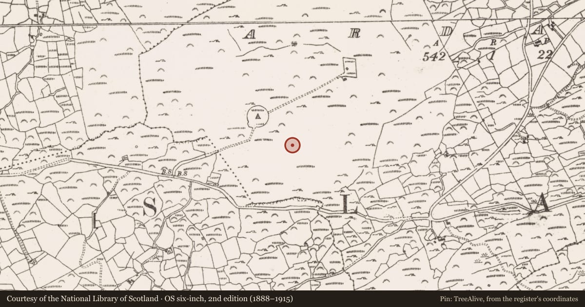 Ordnance Survey six-inch map, 2nd edition (1888–1915) covering the location of Hut site, Ardagh, County Cork, with a pin at the register's coordinates
