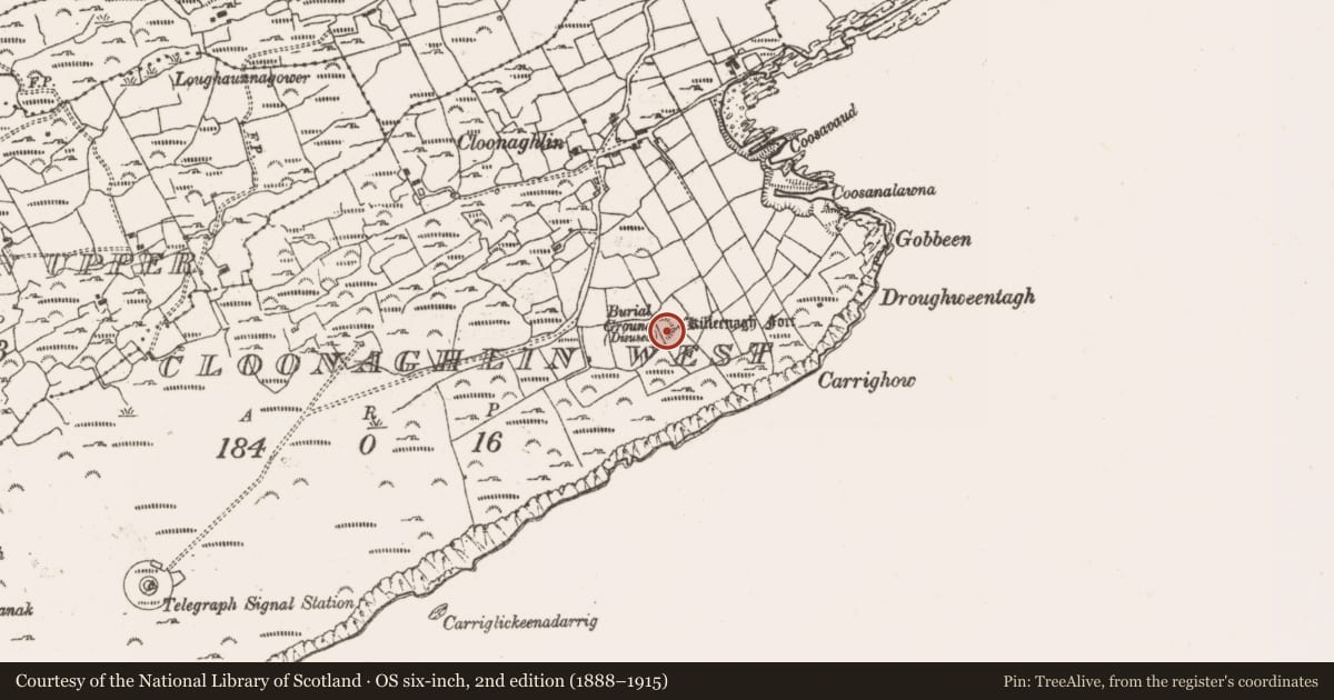 Ordnance Survey six-inch map, 2nd edition (1888–1915) covering the location of Ringfort - rath, Cloonaghlin West, County Cork, with a pin at the register's coordinates