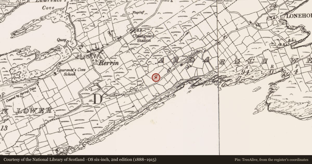 Ordnance Survey six-inch map, 2nd edition (1888–1915) covering the location of Megalithic tomb - wedge tomb, Ardaragh West, County Cork, with a pin at the register's coordinates