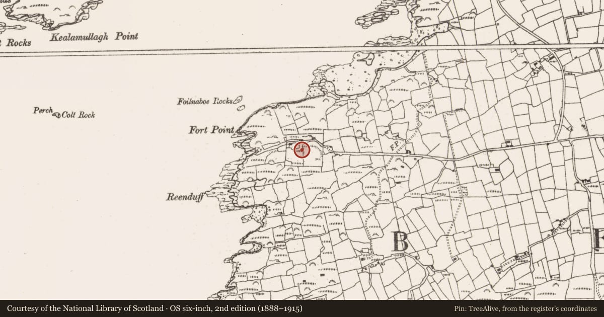 Ordnance Survey six-inch map, 2nd edition (1888–1915) covering the location of Barracks, Derrycreeveen, County Cork, with a pin at the register's coordinates