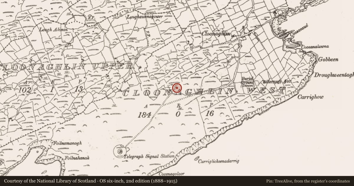 Ordnance Survey six-inch map, 2nd edition (1888–1915) covering the location of Battery, Cloonaghlin West, County Cork, with a pin at the register's coordinates
