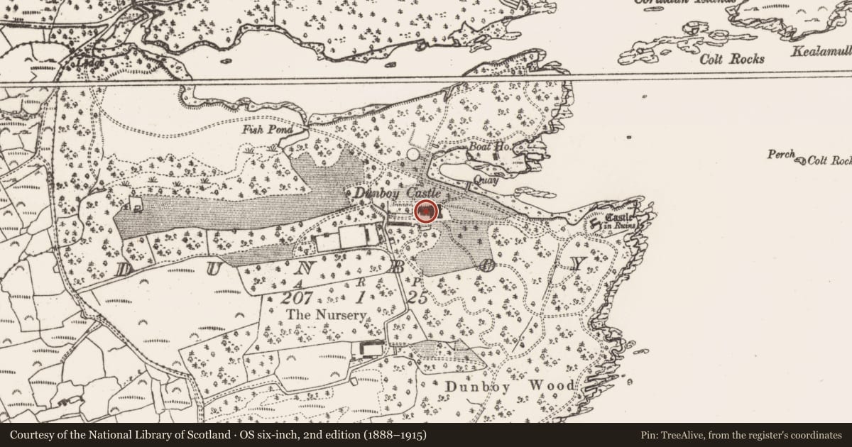 Ordnance Survey six-inch map, 2nd edition (1888–1915) covering the location of Country house, Dunboy, County Cork, with a pin at the register's coordinates