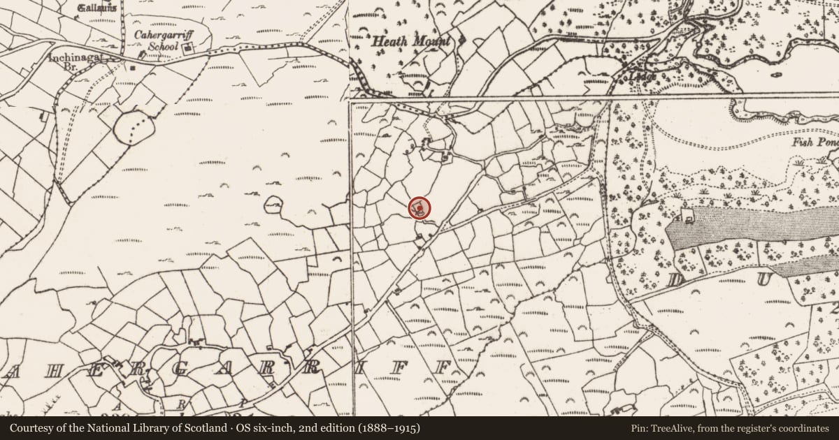 Ordnance Survey six-inch map, 2nd edition (1888–1915) covering the location of Burial ground, Cahergarriff, County Cork, with a pin at the register's coordinates