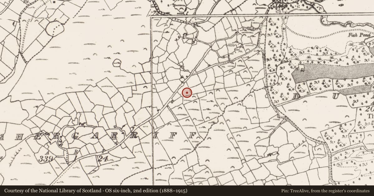 Ordnance Survey six-inch map, 2nd edition (1888–1915) covering the location of Standing stone (present location), Cahergarriff, County Cork, with a pin at the register's coordinates