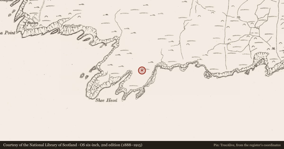 Ordnance Survey six-inch map, 2nd edition (1888–1915) covering the location of Field boundary, Derrycreeveen, County Cork, with a pin at the register's coordinates