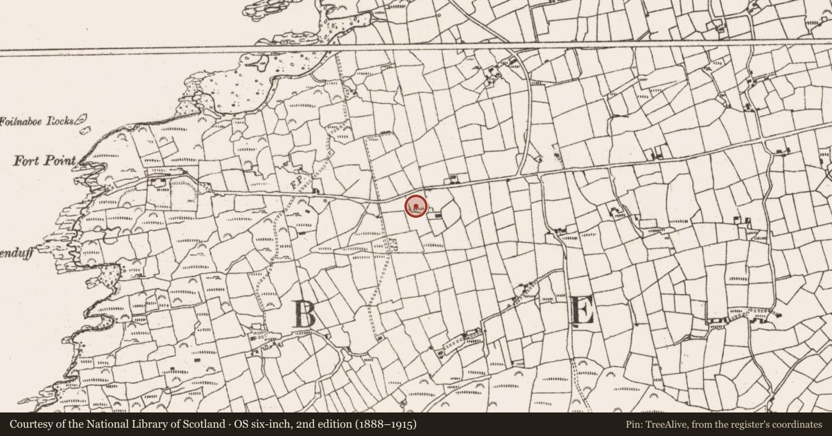Ordnance Survey six-inch map, 2nd edition (1888–1915) covering the location of Ringfort - rath, Derrycreeveen, County Cork, with a pin at the register's coordinates