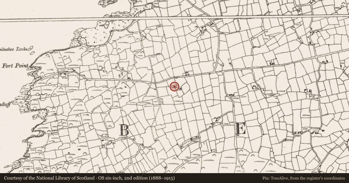 Ordnance Survey six-inch map, 2nd edition (1888–1915) covering the location of Cross-inscribed stone, Derrycreeveen, County Cork, with a pin at the register's coordinates