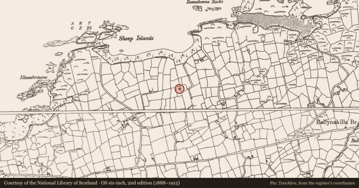 Ordnance Survey six-inch map, 2nd edition (1888–1915) covering the location of Fulacht fia, Derrycreeveen, County Cork, with a pin at the register's coordinates