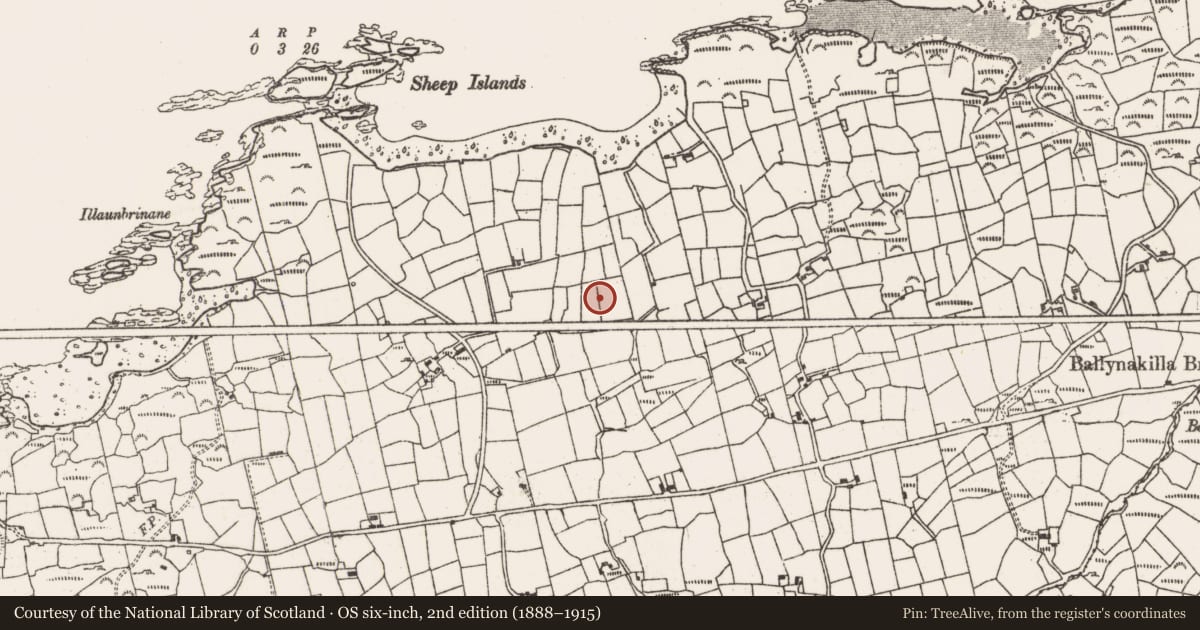 Ordnance Survey six-inch map, 2nd edition (1888–1915) covering the location of Burnt mound, Derrycreeveen, County Cork, with a pin at the register's coordinates