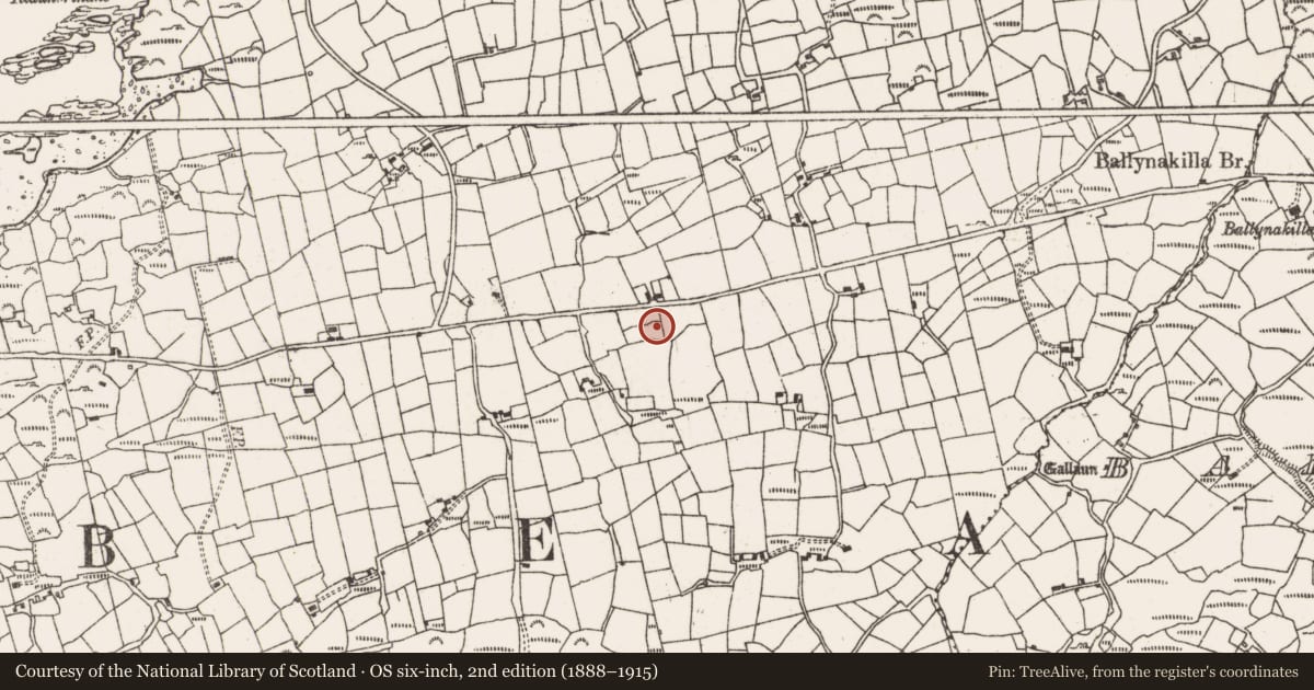 Ordnance Survey six-inch map, 2nd edition (1888–1915) covering the location of Ringfort - cashel, Derrycreeveen, County Cork, with a pin at the register's coordinates