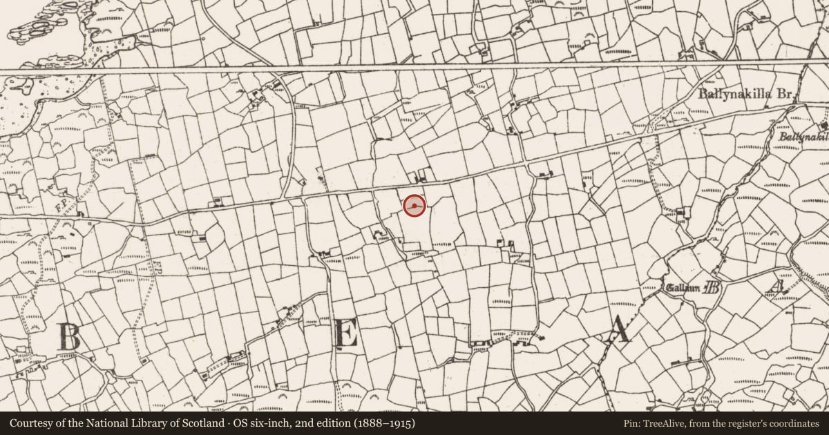 Ordnance Survey six-inch map, 2nd edition (1888–1915) covering the location of Souterrain, Derrycreeveen, County Cork, with a pin at the register's coordinates
