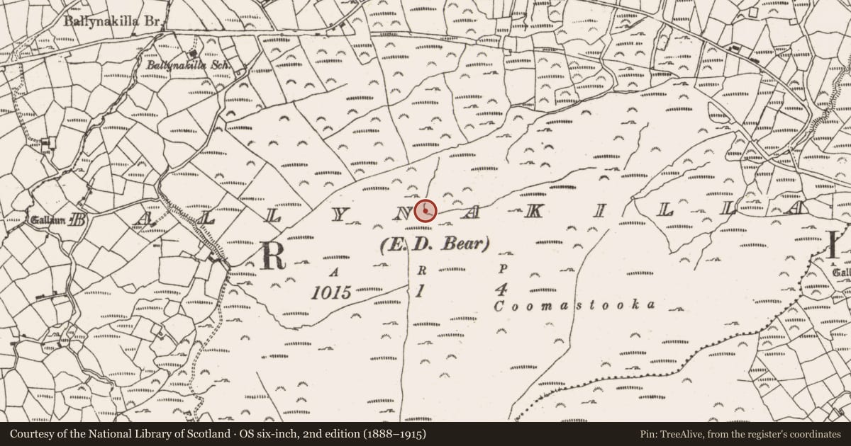 Ordnance Survey six-inch map, 2nd edition (1888–1915) covering the location of Ritual site - holy well, Ballynakilla (Bear By., Killaconenagh Par.), County Cork, with a pin at the register's coordinates