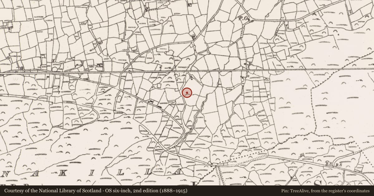 Ordnance Survey six-inch map, 2nd edition (1888–1915) covering the location of Souterrain, Ballynakilla (Bear By., Killaconenagh Par.), County Cork, with a pin at the register's coordinates