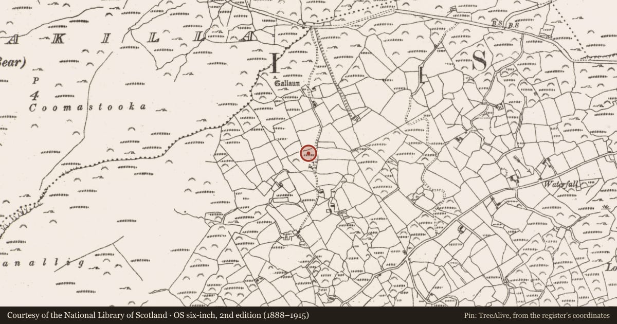Ordnance Survey six-inch map, 2nd edition (1888–1915) covering the location of Ringfort - rath, Greenane, County Cork, with a pin at the register's coordinates
