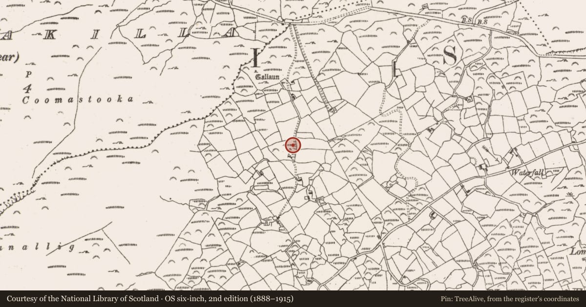 Ordnance Survey six-inch map, 2nd edition (1888–1915) covering the location of Souterrain, Greenane, County Cork, with a pin at the register's coordinates