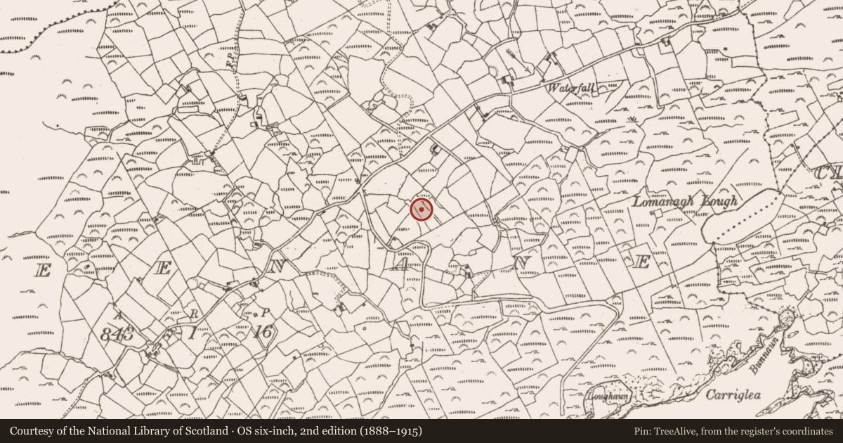 Ordnance Survey six-inch map, 2nd edition (1888–1915) covering the location of Souterrain, Greenane, County Cork, with a pin at the register's coordinates