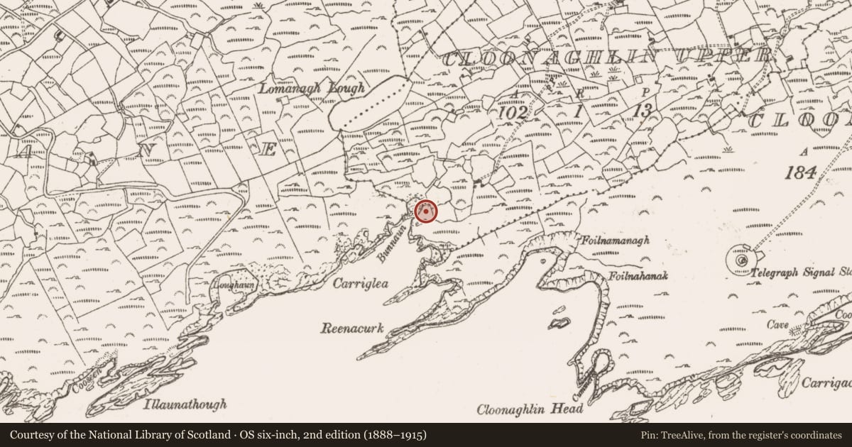 Ordnance Survey six-inch map, 2nd edition (1888–1915) covering the location of Burial ground, Cloonaghlin Upper, County Cork, with a pin at the register's coordinates