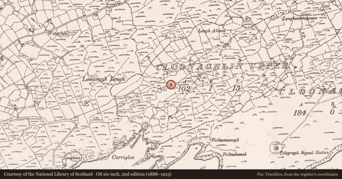 Ordnance Survey six-inch map, 2nd edition (1888–1915) covering the location of Enclosure, Cloonaghlin Upper, County Cork, with a pin at the register's coordinates