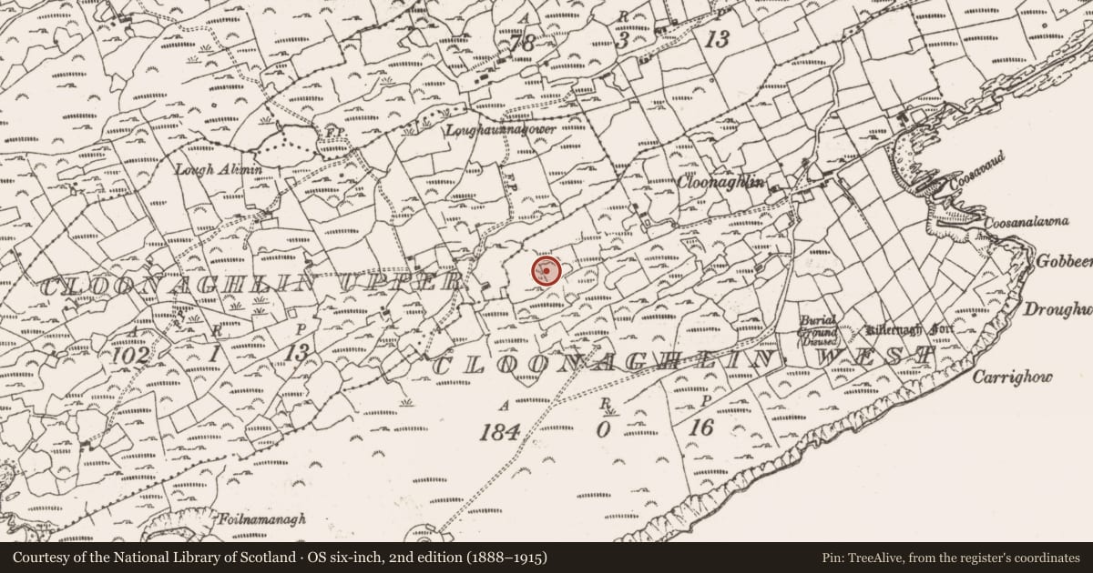Ordnance Survey six-inch map, 2nd edition (1888–1915) covering the location of Ringfort - rath, Cloonaghlin West, County Cork, with a pin at the register's coordinates