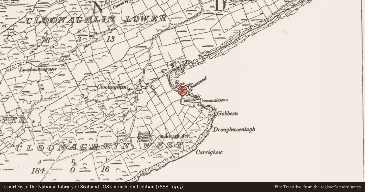 Ordnance Survey six-inch map, 2nd edition (1888–1915) covering the location of Promontory fort - coastal, Cloonaghlin West, County Cork, with a pin at the register's coordinates