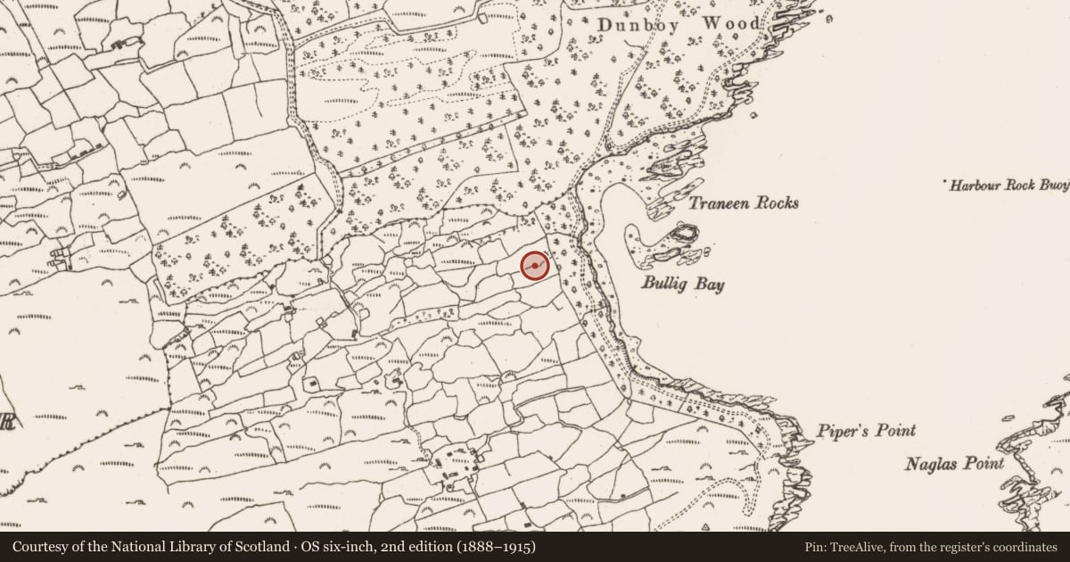 Ordnance Survey six-inch map, 2nd edition (1888–1915) covering the location of Enclosure, Disert, County Cork, with a pin at the register's coordinates