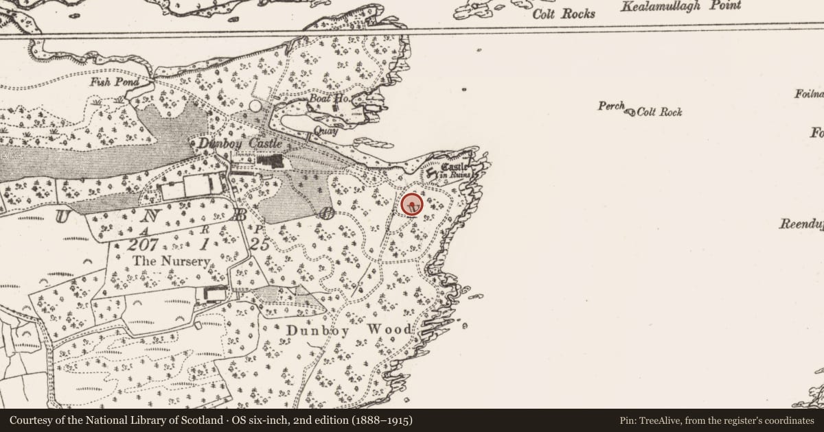 Ordnance Survey six-inch map, 2nd edition (1888–1915) covering the location of Hut site, Dunboy, County Cork, with a pin at the register's coordinates