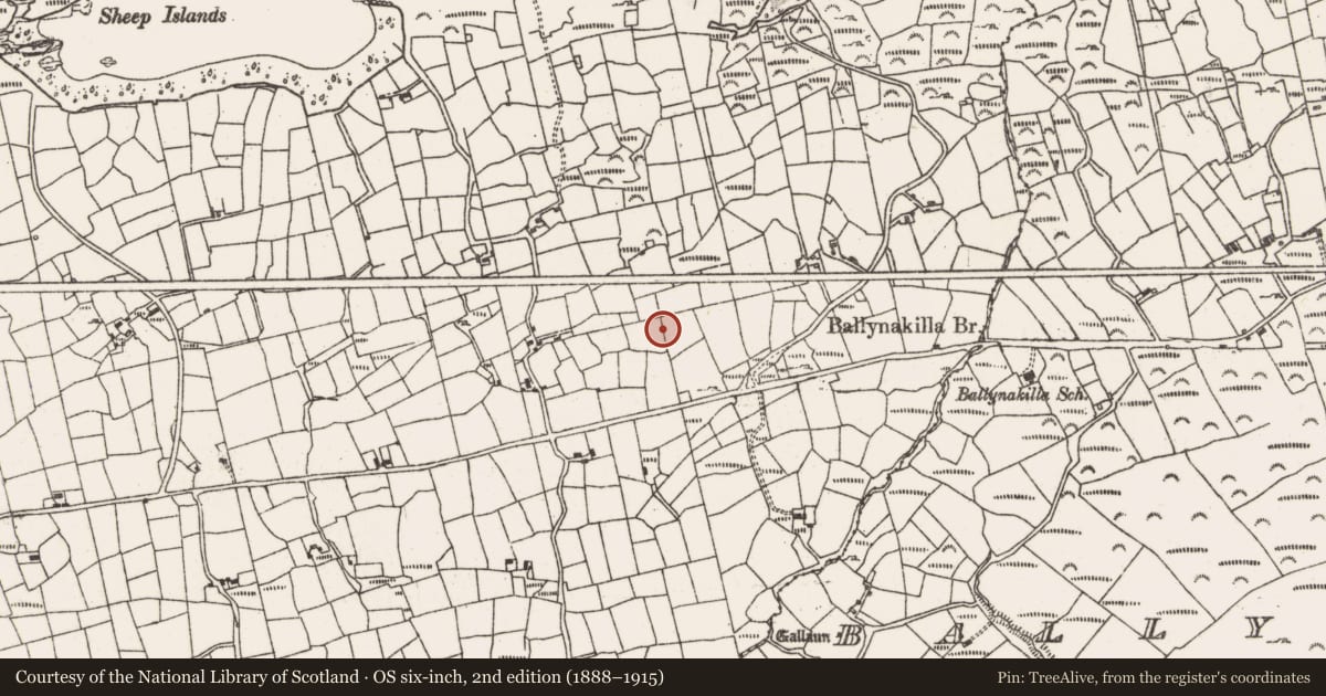 Ordnance Survey six-inch map, 2nd edition (1888–1915) covering the location of Souterrain, Derrycreeveen, County Cork, with a pin at the register's coordinates