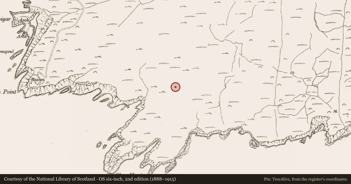 Ordnance Survey six-inch map, 2nd edition (1888–1915) covering the location of Field boundary, Derrycreeveen, County Cork, with a pin at the register's coordinates