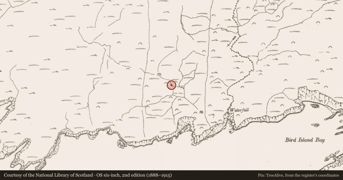 Ordnance Survey six-inch map, 2nd edition (1888–1915) covering the location of Hut site, Derrycreeveen, County Cork, with a pin at the register's coordinates