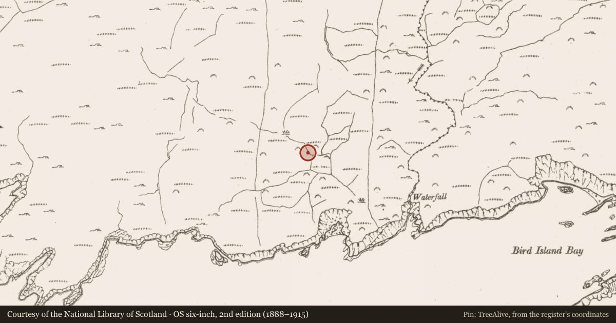 Ordnance Survey six-inch map, 2nd edition (1888–1915) covering the location of Standing stone, Derrycreeveen, County Cork, with a pin at the register's coordinates