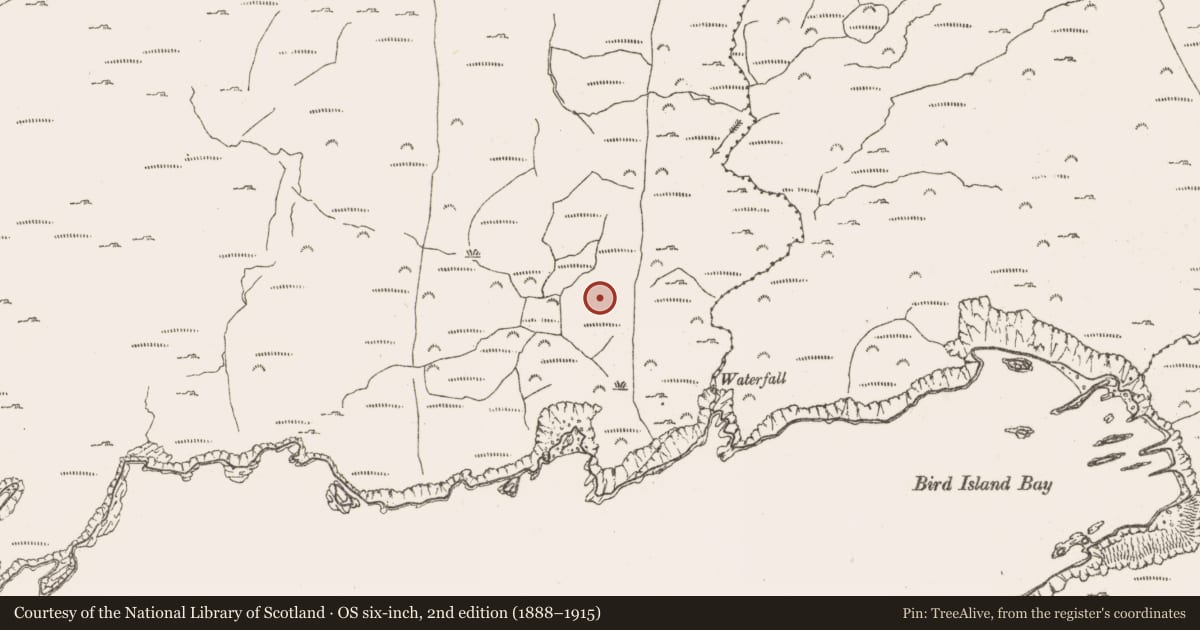 Ordnance Survey six-inch map, 2nd edition (1888–1915) covering the location of Hut site, Derrycreeveen, County Cork, with a pin at the register's coordinates