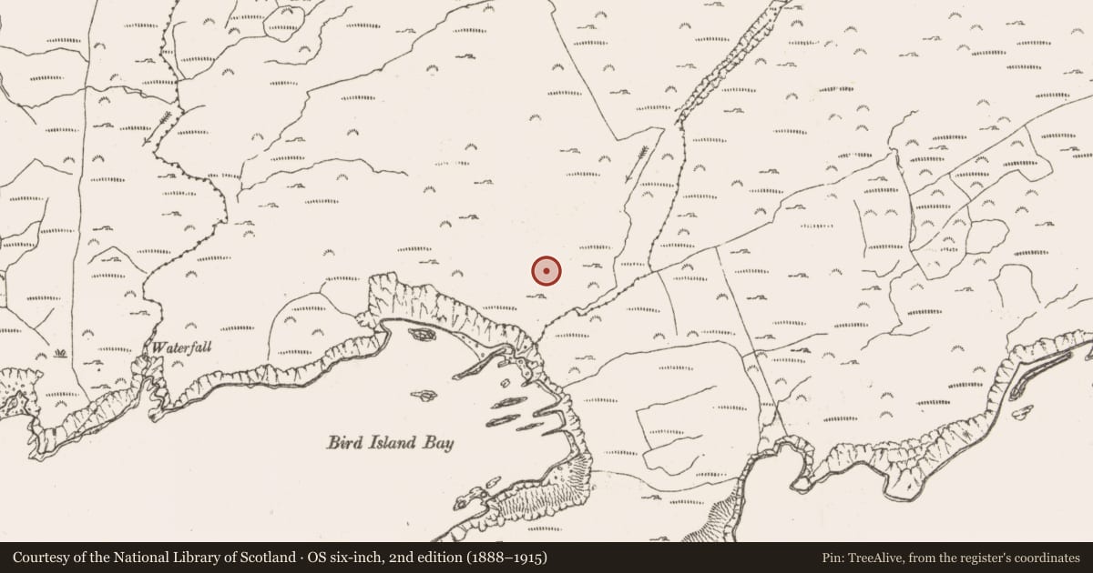 Ordnance Survey six-inch map, 2nd edition (1888–1915) covering the location of Hut site, Ballynakilla (Bear By., Killaconenagh Par.), County Cork, with a pin at the register's coordinates