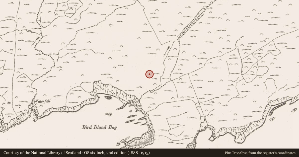 Ordnance Survey six-inch map, 2nd edition (1888–1915) covering the location of Hut site, Ballynakilla (Bear By., Killaconenagh Par.), County Cork, with a pin at the register's coordinates